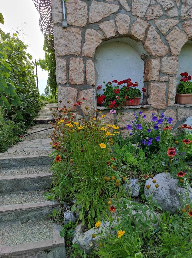 Kerti Lak Daire Mór Dış mekan fotoğraf